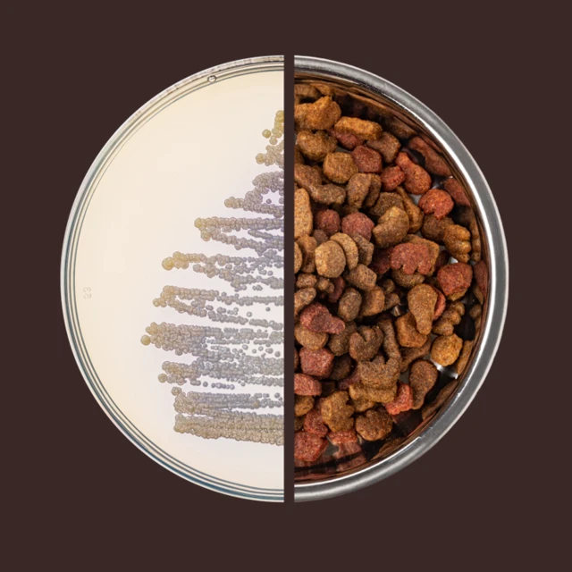 Split circular composition on a dark brown background: the right half shows a metal bowl filled with mixed brown and reddish pet food kibble, while the left half resembles a petri dish,