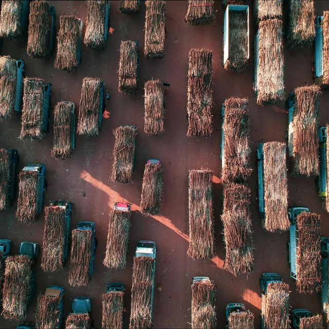 a helicopter view of tracks transporting sugarcane