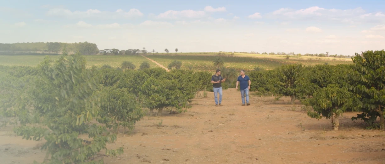 Improving food security