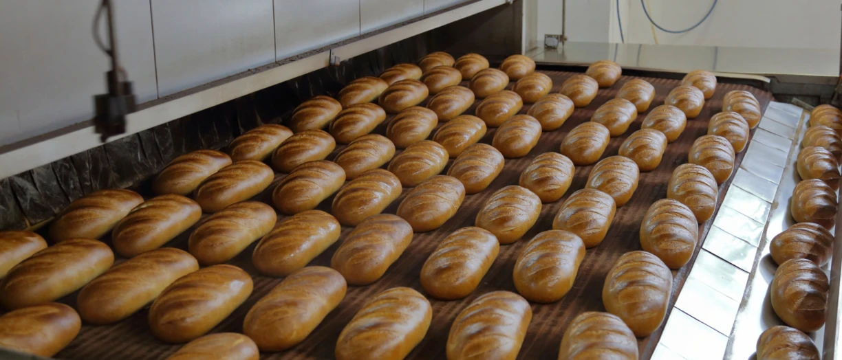 Fresh loaves in the bake factory