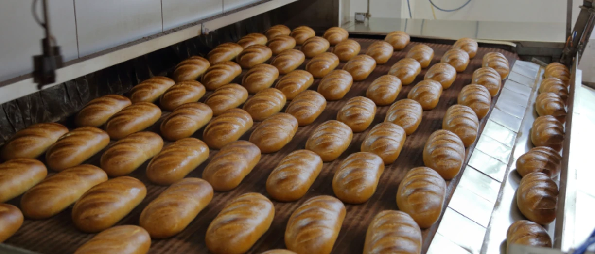Fresh baked loaves in industrial baking