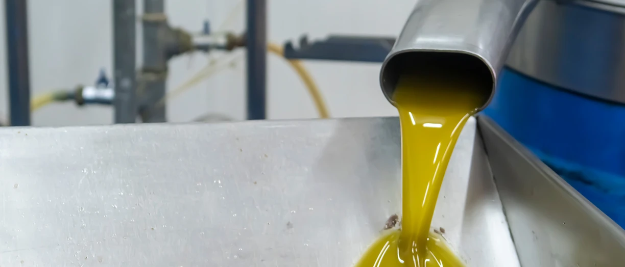 OliveOil_production_factory_steel_machine.