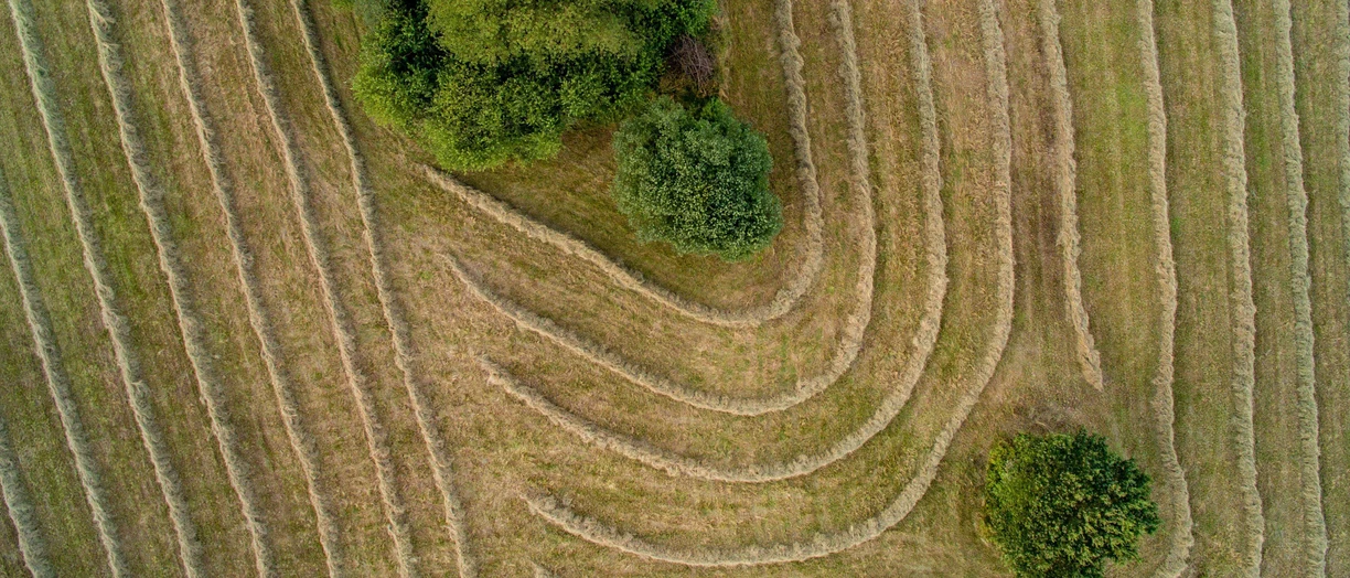 Hay harvest