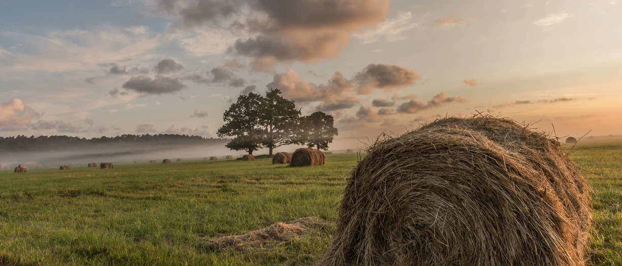 Scenic view of field against sky during sunset