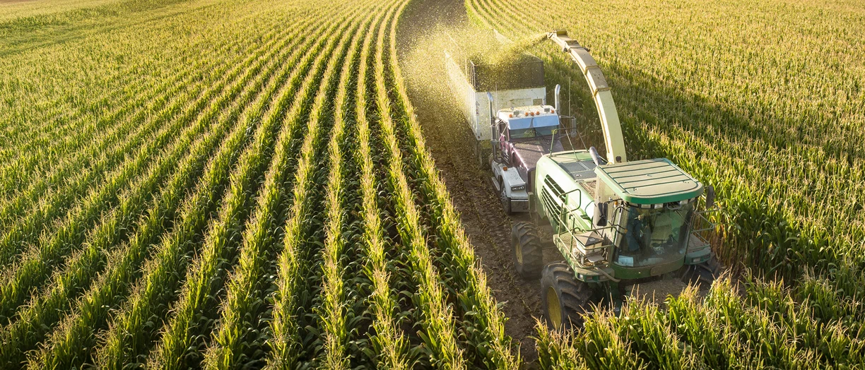 Silage