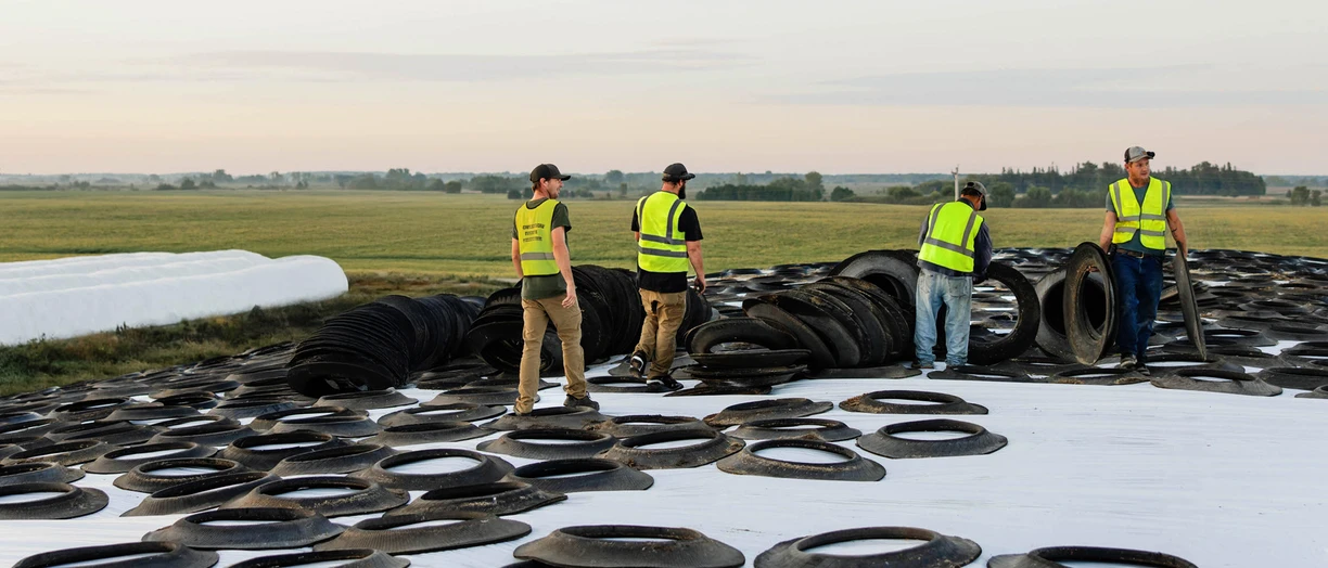 silage_safety