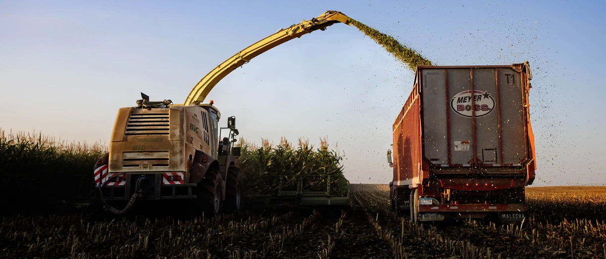 silage_harvest