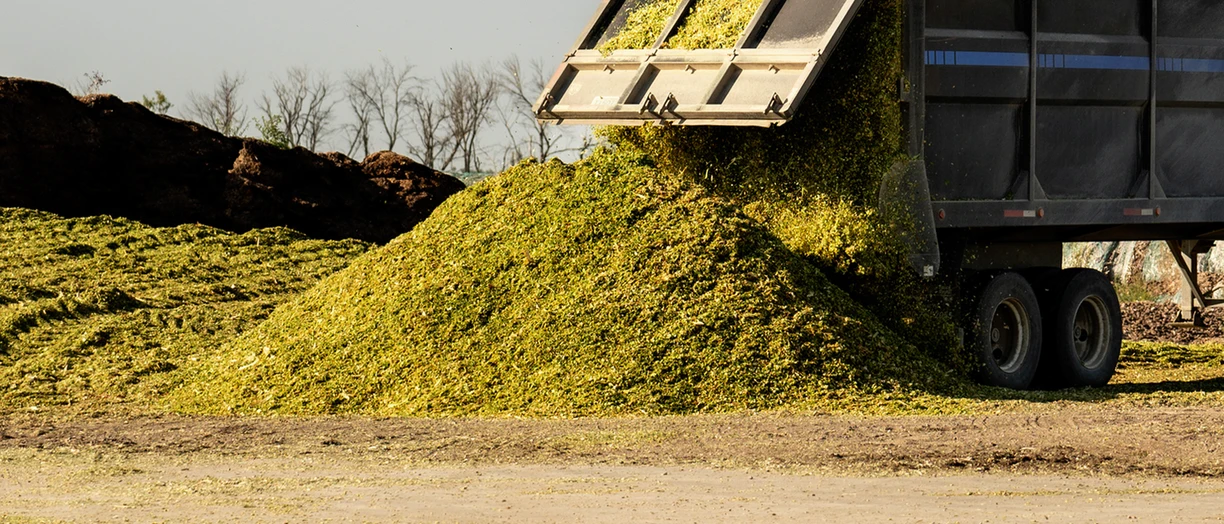 silage_truck_unload