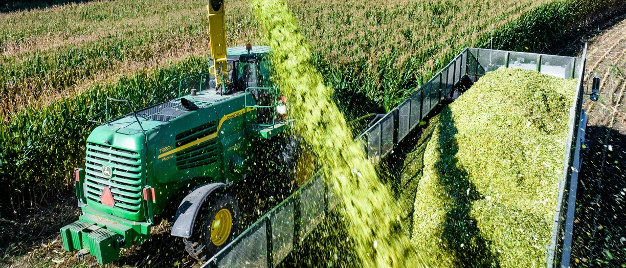 silage_inoculant_harvest