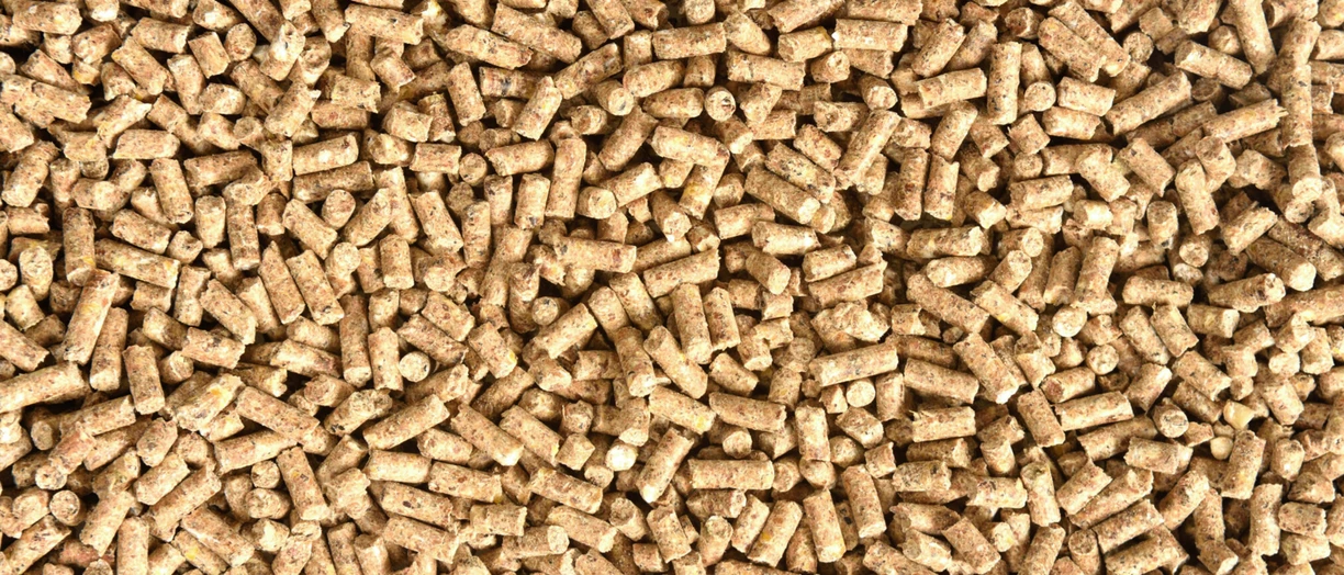 poultry feed