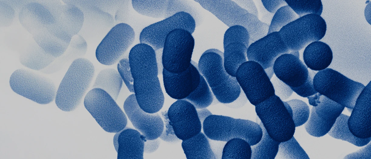 microbes