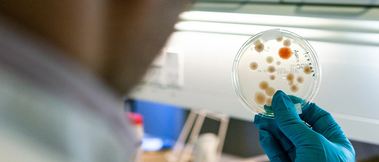 science bacteria