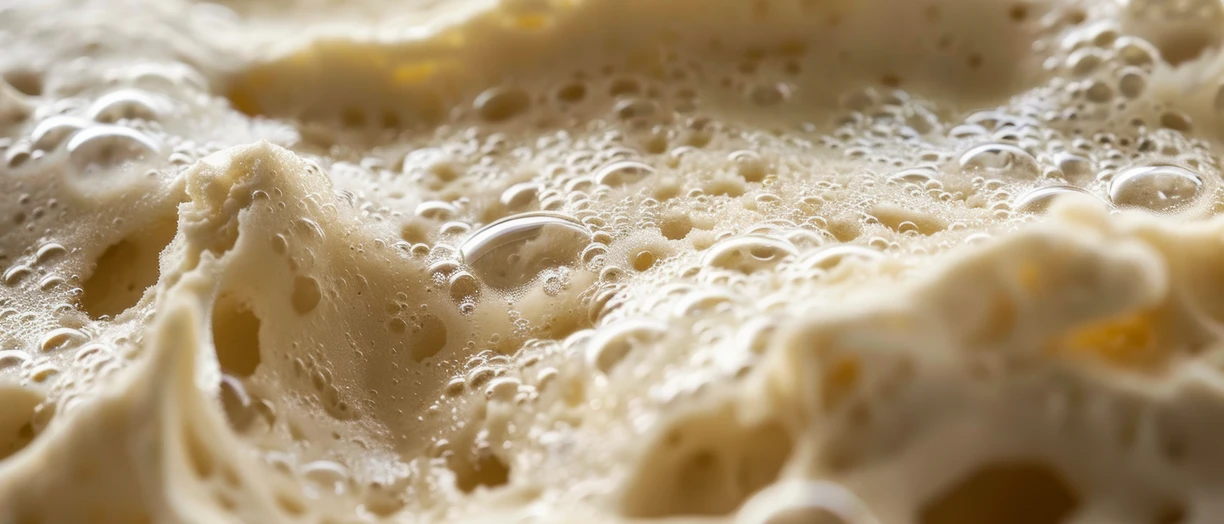 Yeast