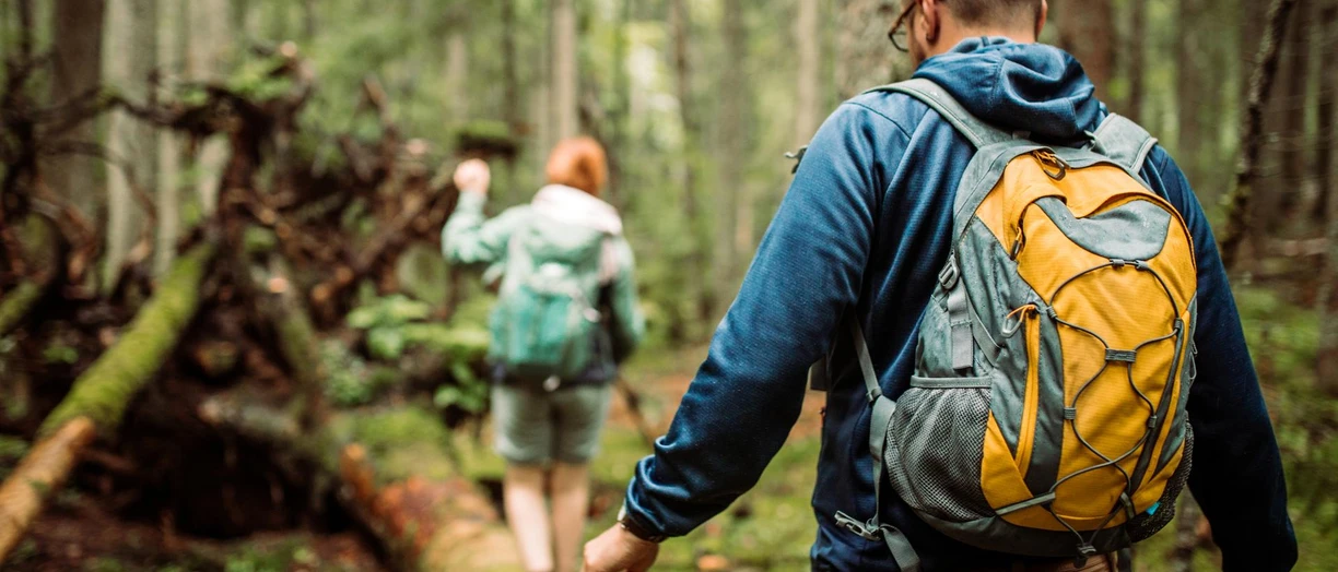 hikers