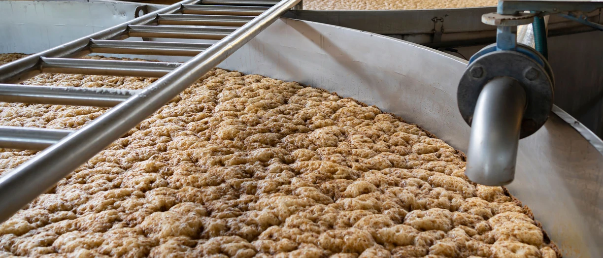 grain fermenting in a tank