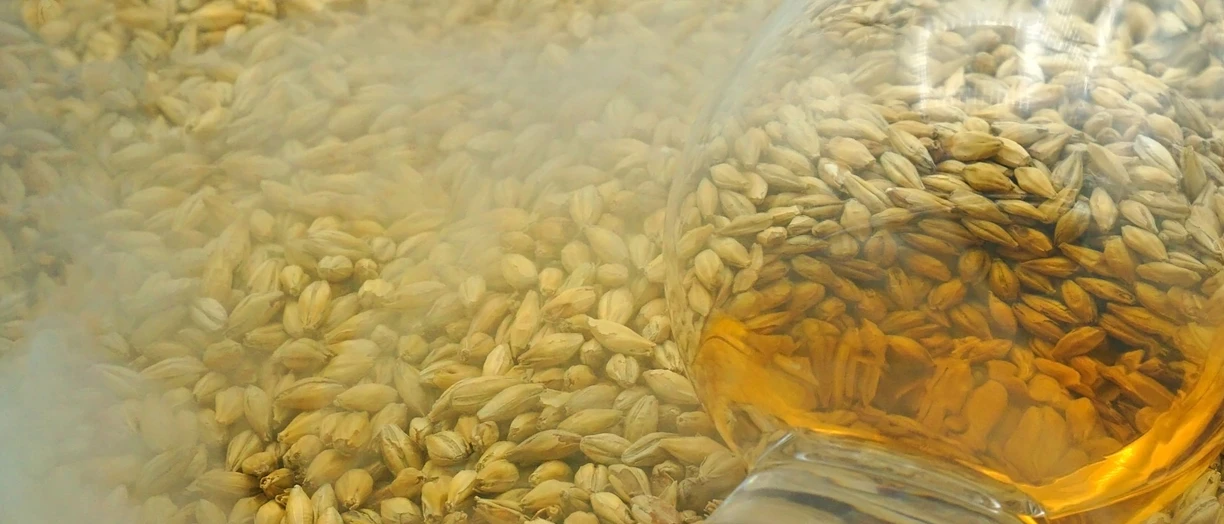 grains
