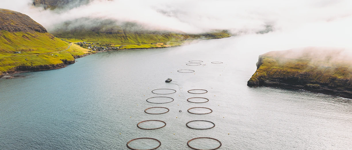 fishing pond for aquaculture