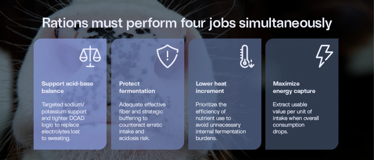 Ratio should perform 4 jobs simultaneously