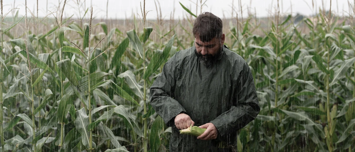Dairy farmers don't control the weather