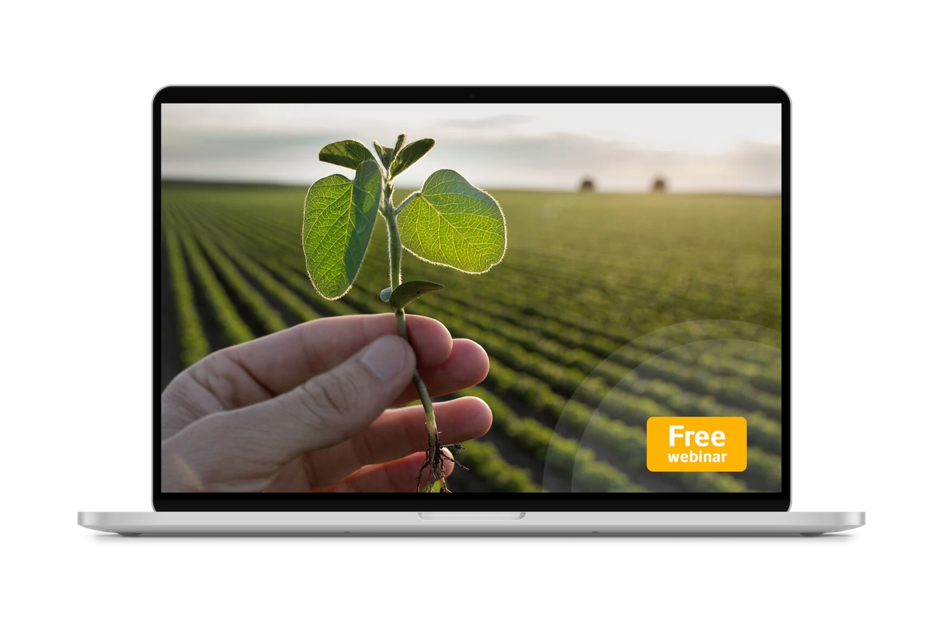 free webinar thumbnail