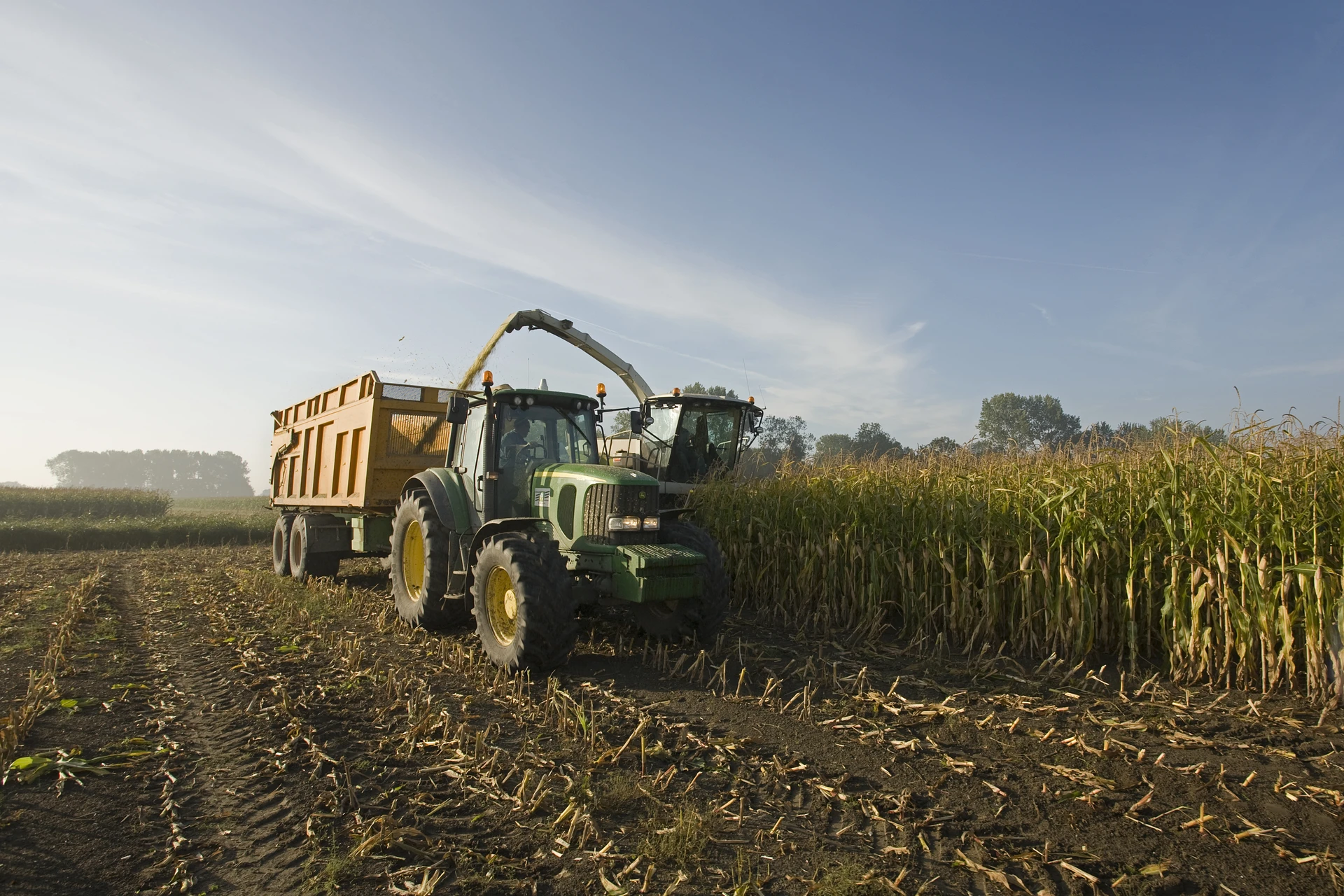 Farmer_collecting_crops