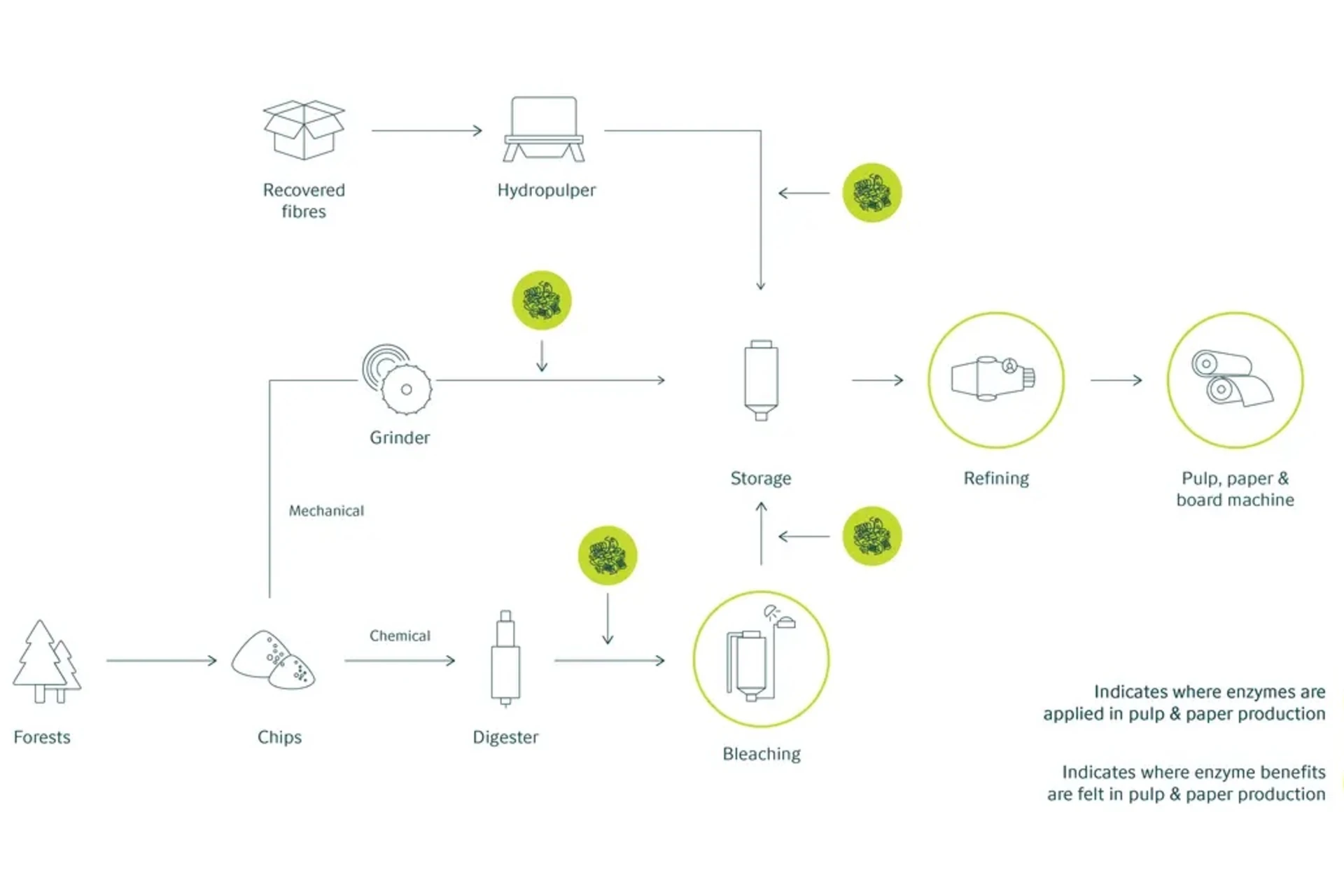 Pulp and Paper Process