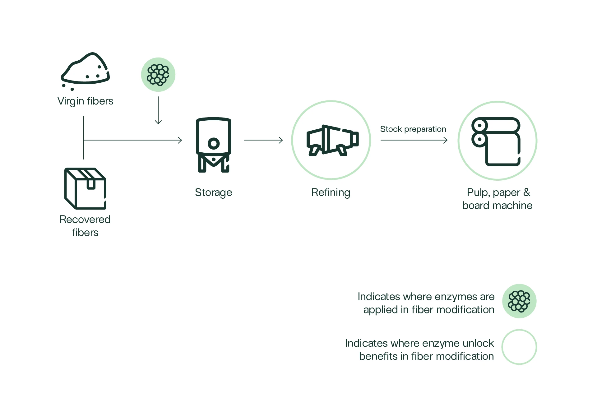 Fiber modification