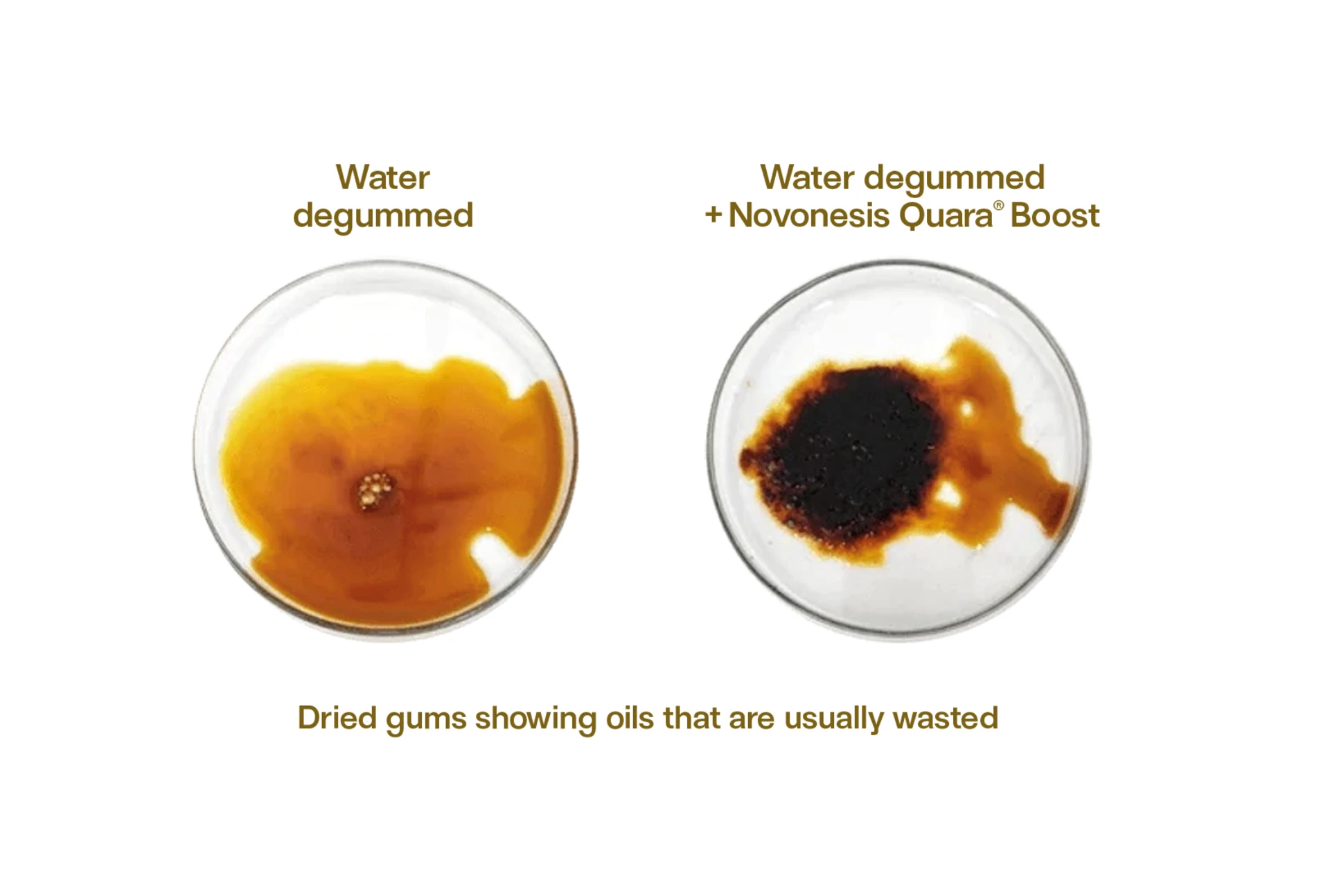 Enzymatic degumming with Quara® Boost