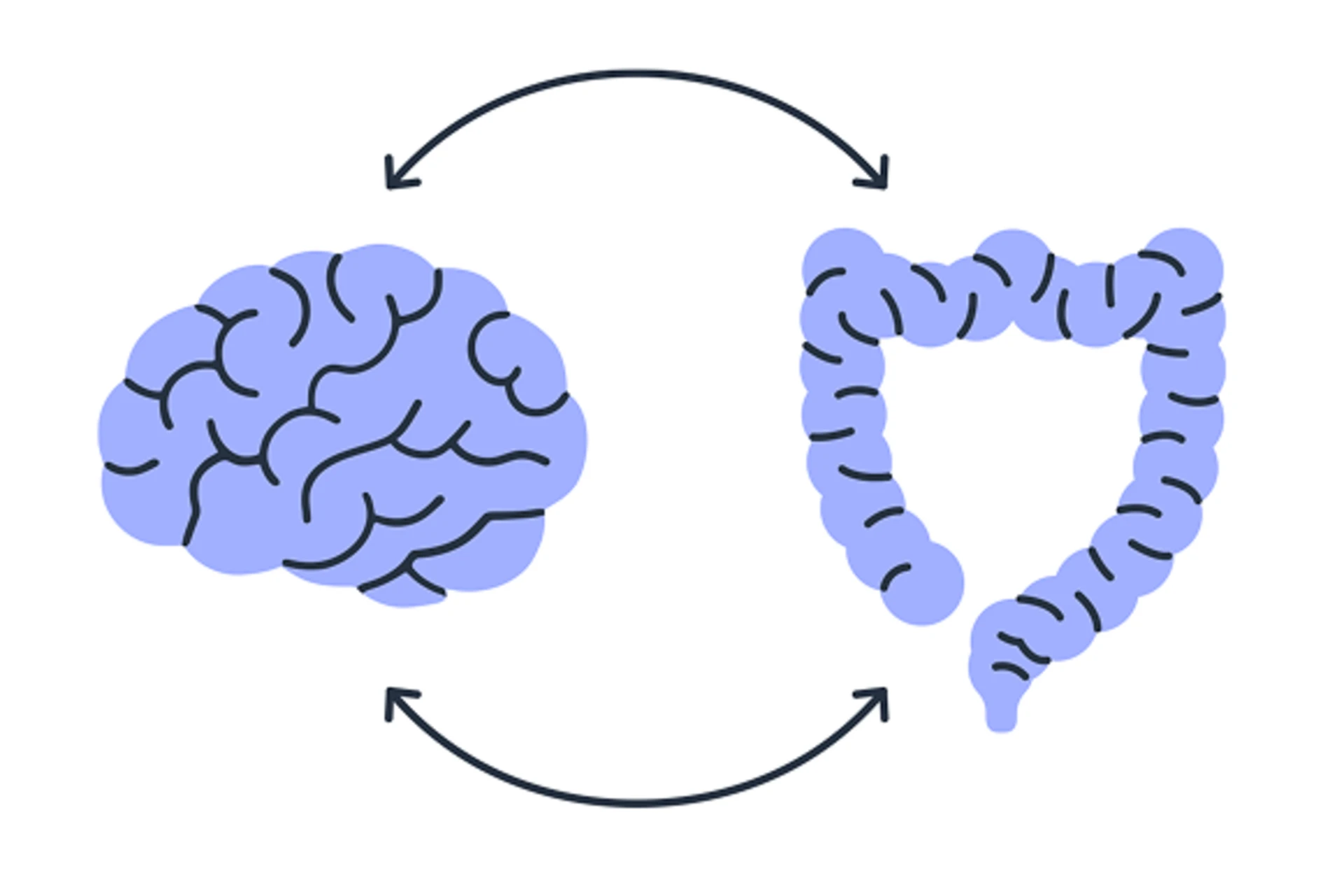 Gut-brain-axis-illustration