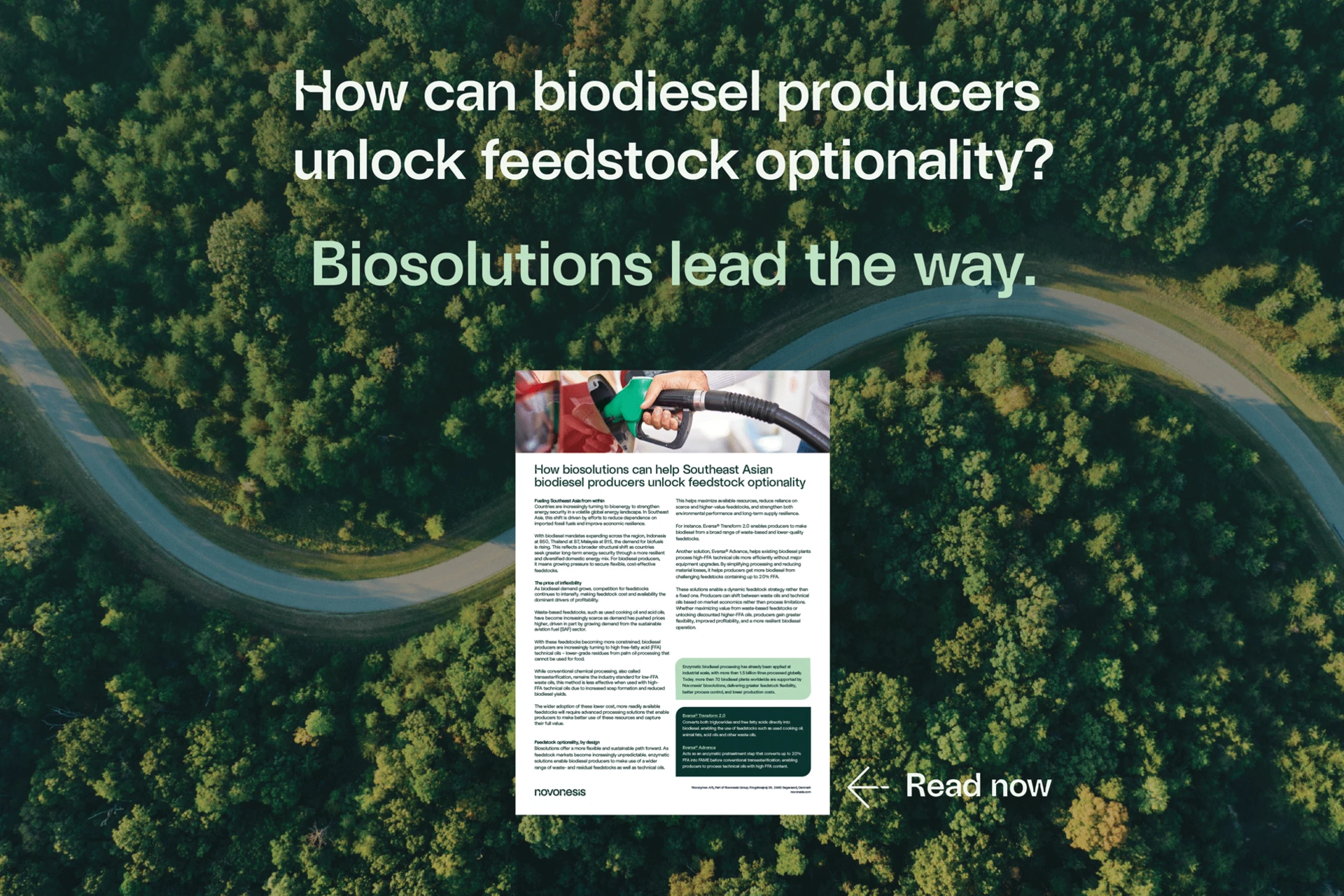 Biodiesel-SEA-case-mockup