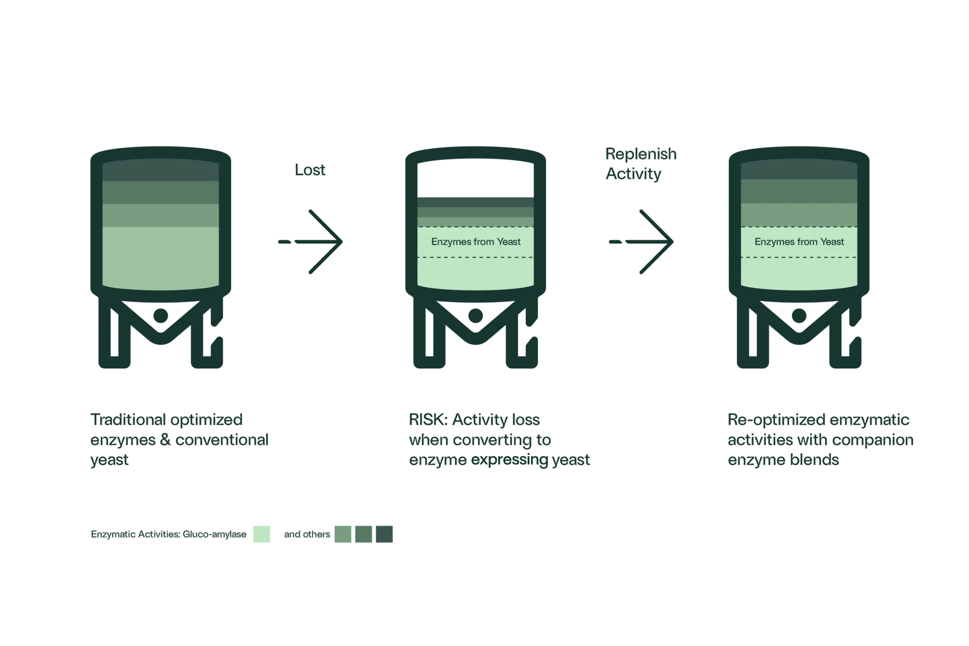 saccharification flow chart in ethanol production