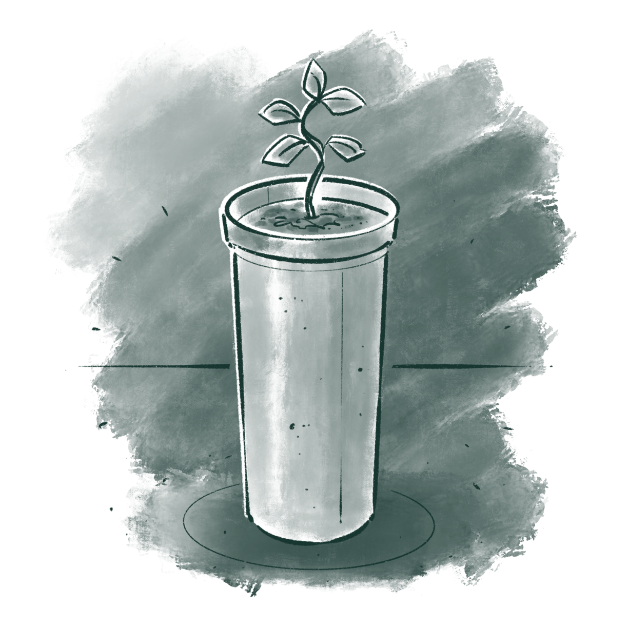 Microbes_as_Fertilizers_-_Fungus_increase_root_length_by_33_percent