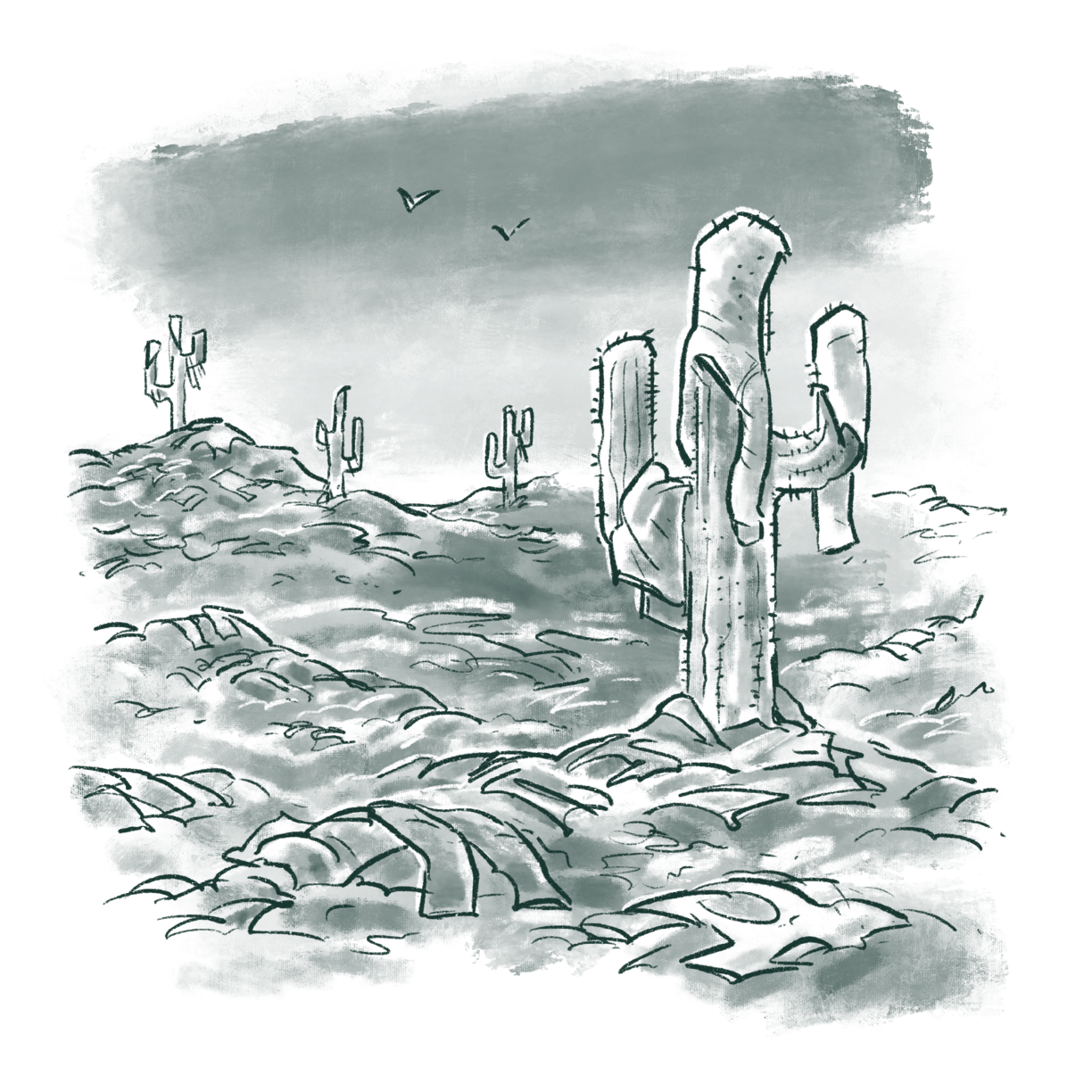 34000_Tonnes_Of_Clothes_In_Atacama_Desert