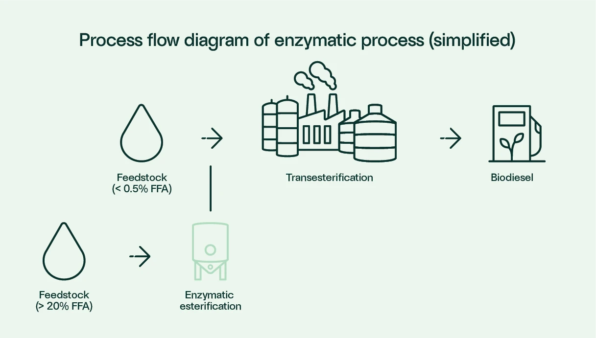 Enzymatic_process_Route