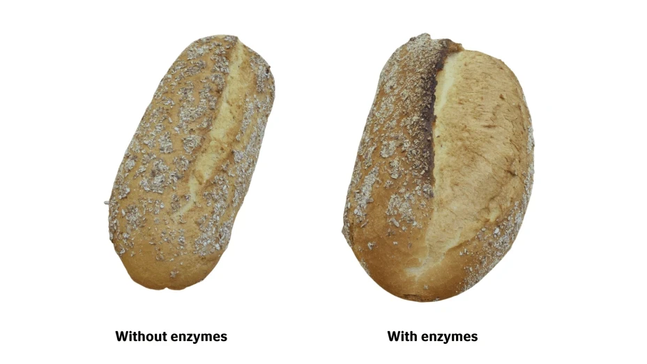 Baking_safety_spelt_bread_with_and_without_enzymes