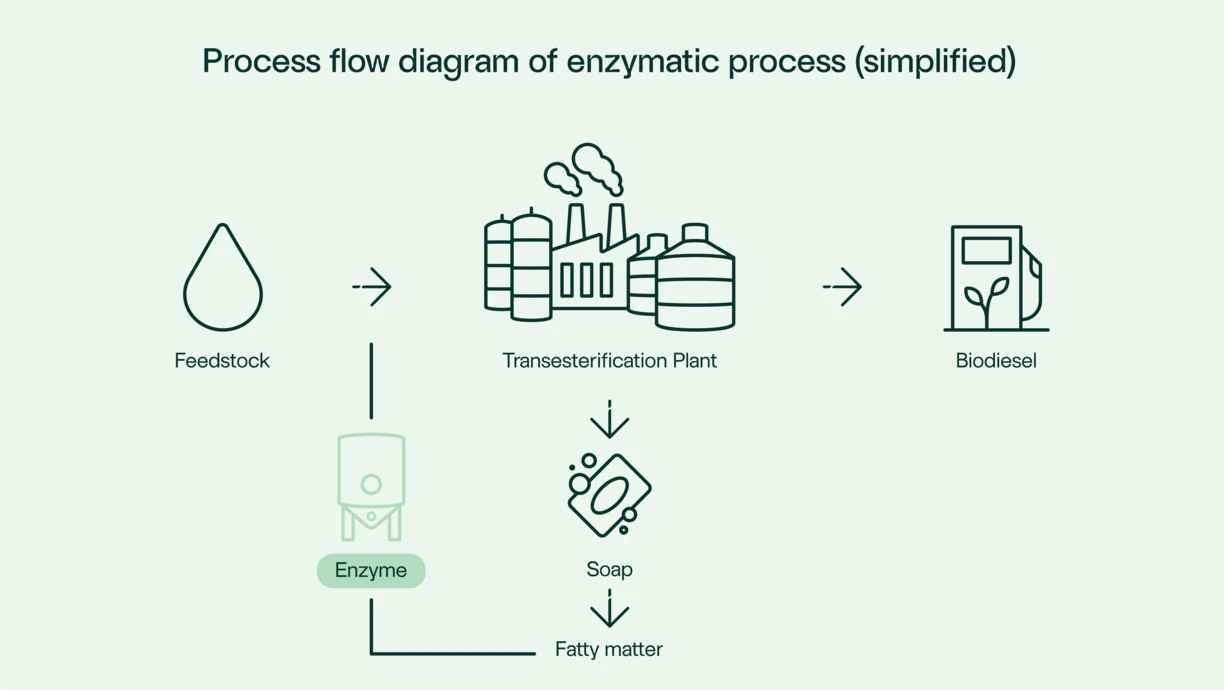 Enzymatic_process_Route