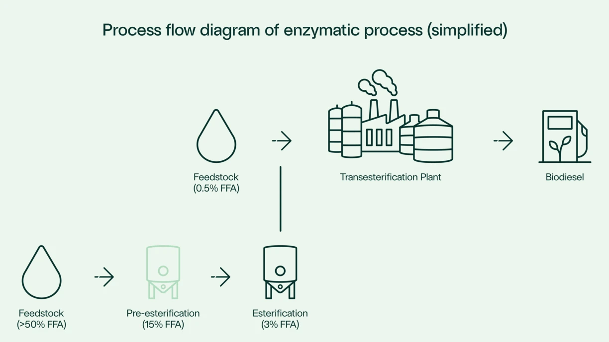 Enzymatic_process_Route