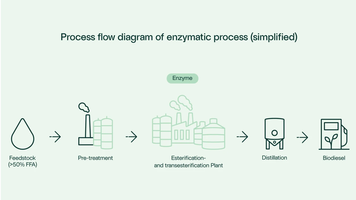 Enzymatic_process_Route