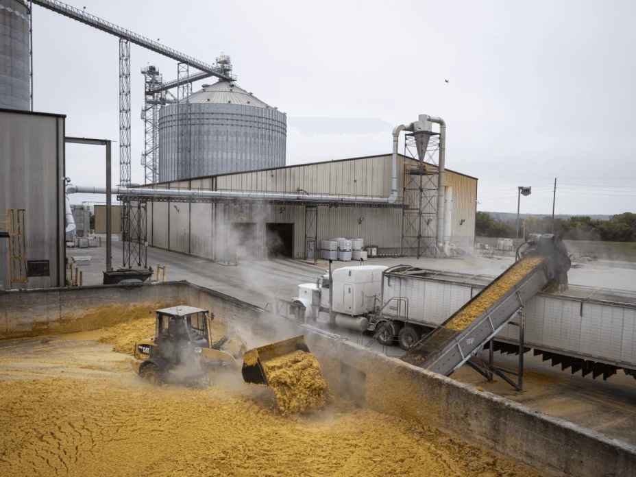 Corn Oil Plant 