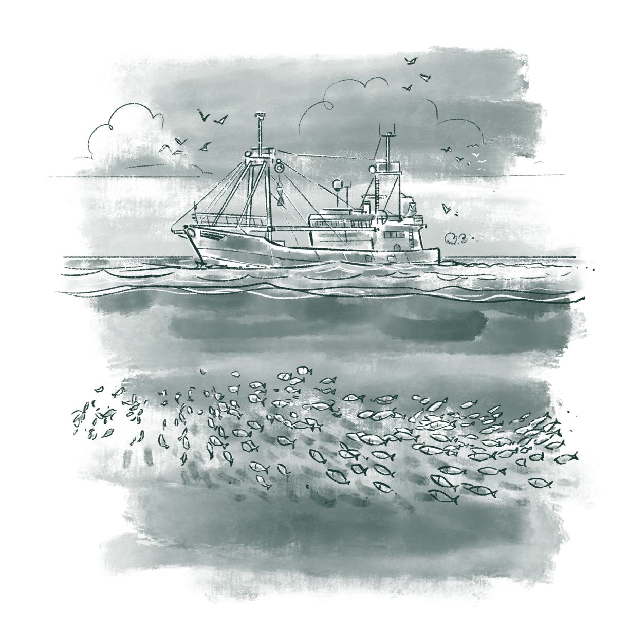 The_Diverse_World_Of_Aquatic_Ecosystems