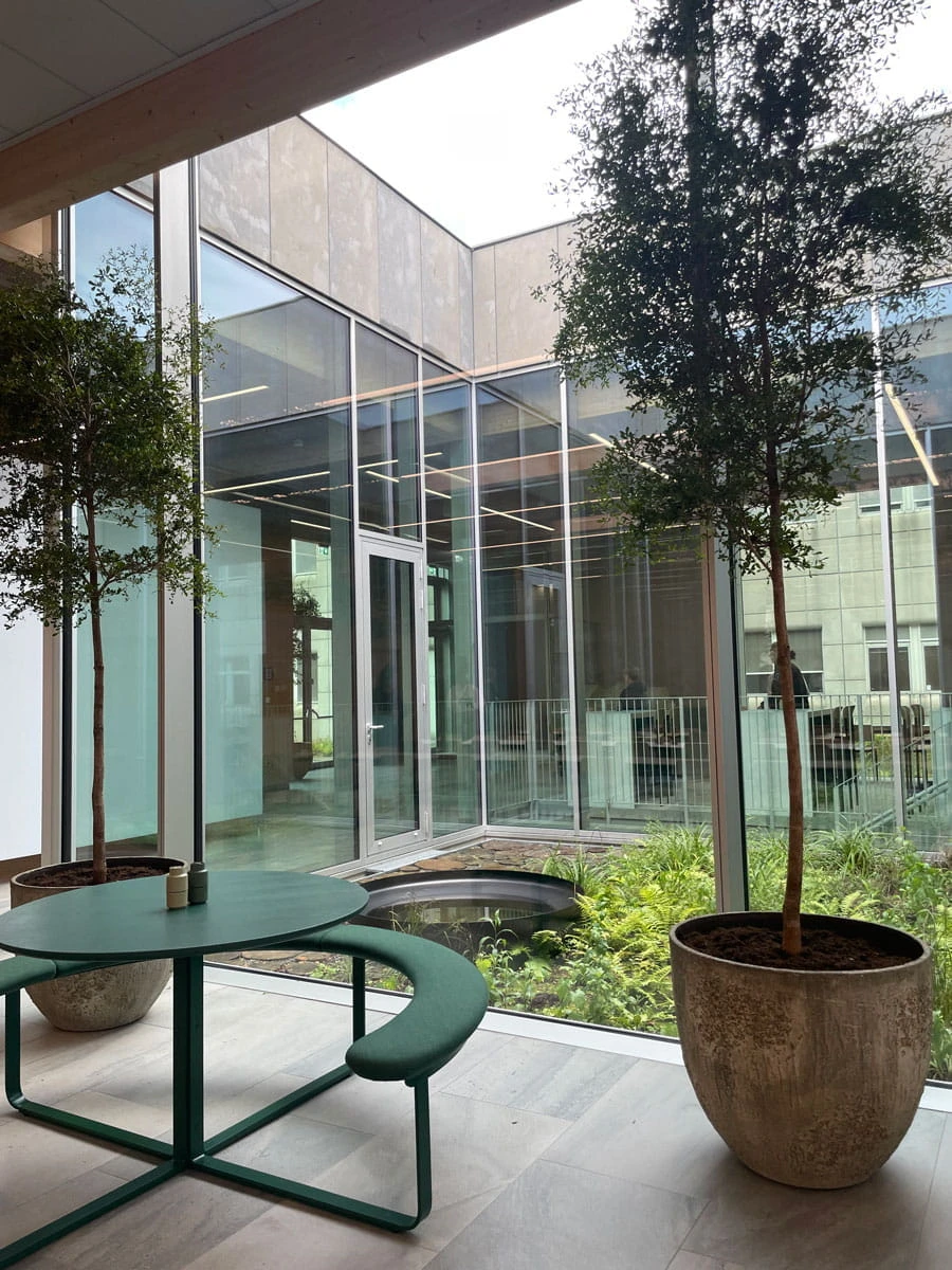 innovation campus hørsholm