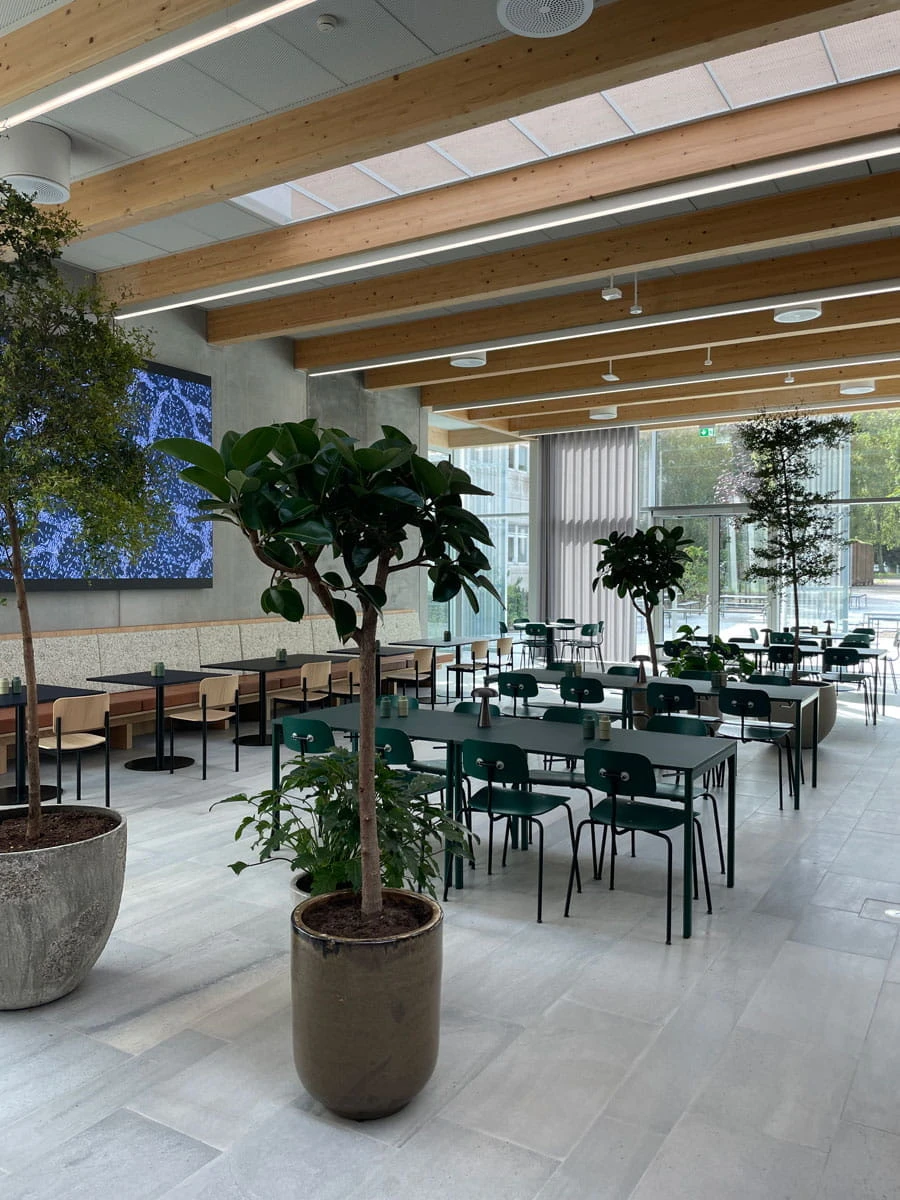 innovation campus hørsholm