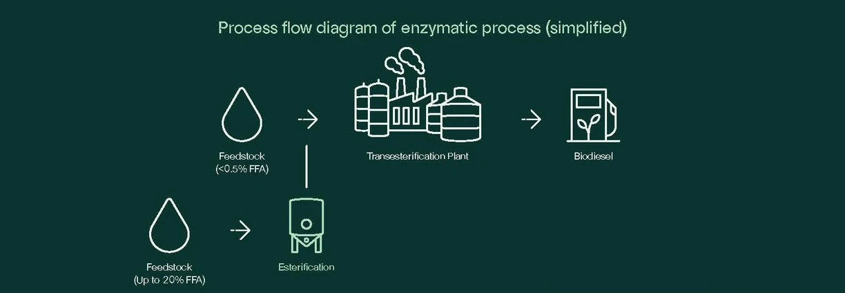 Esterification of feedstock with up to 20% FFA