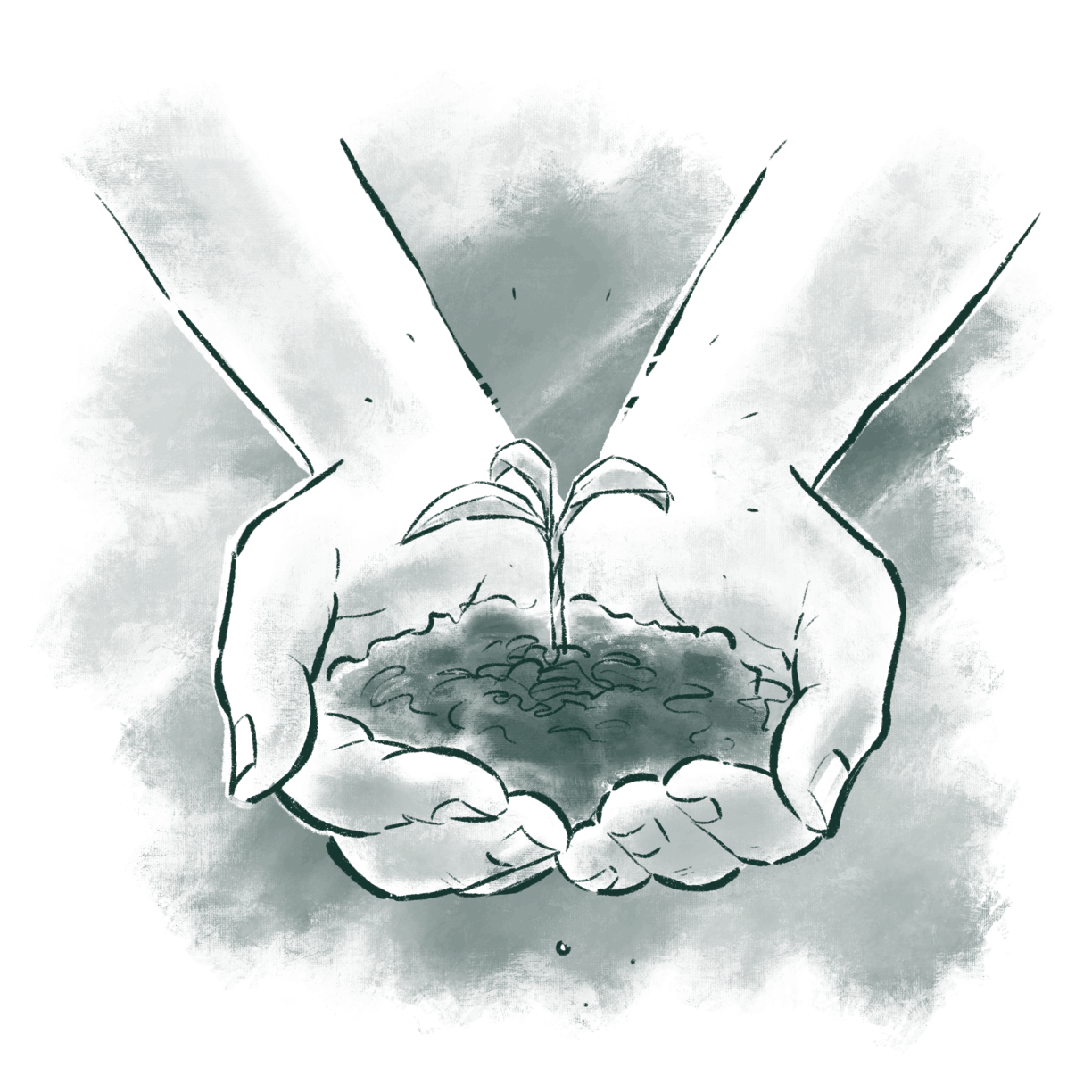 hands holding soil