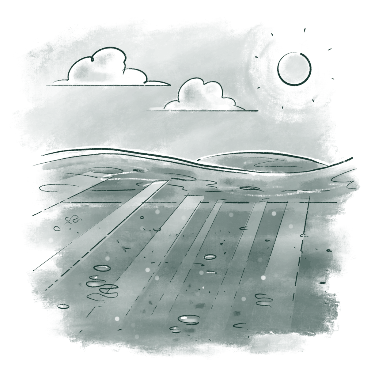 Algae Also Perform Photosynthesis
