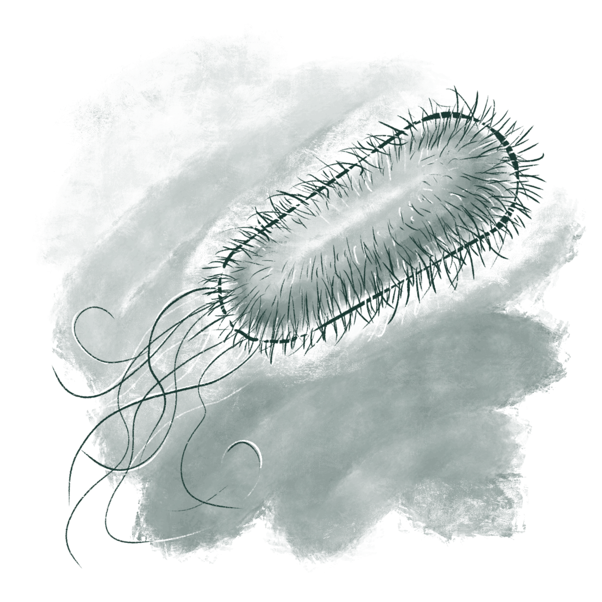 Bakteria_green