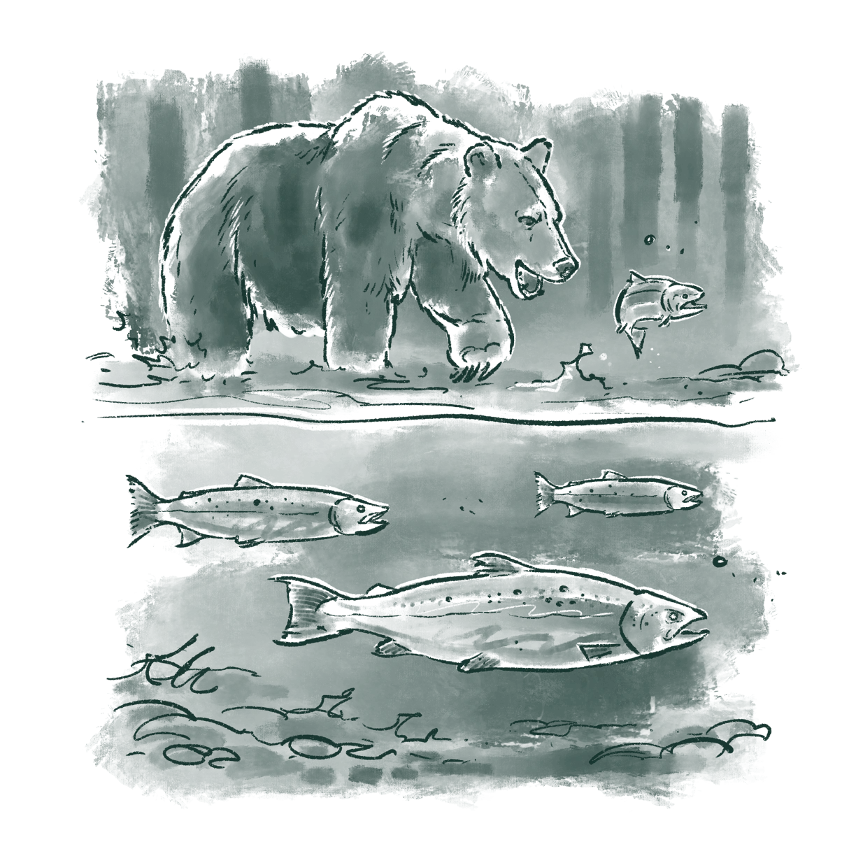 Freshwater_Environment.png