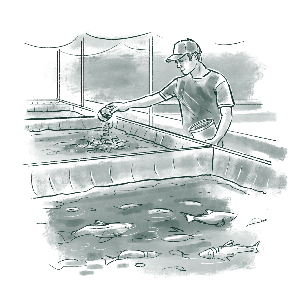 Inland_Aquaculture