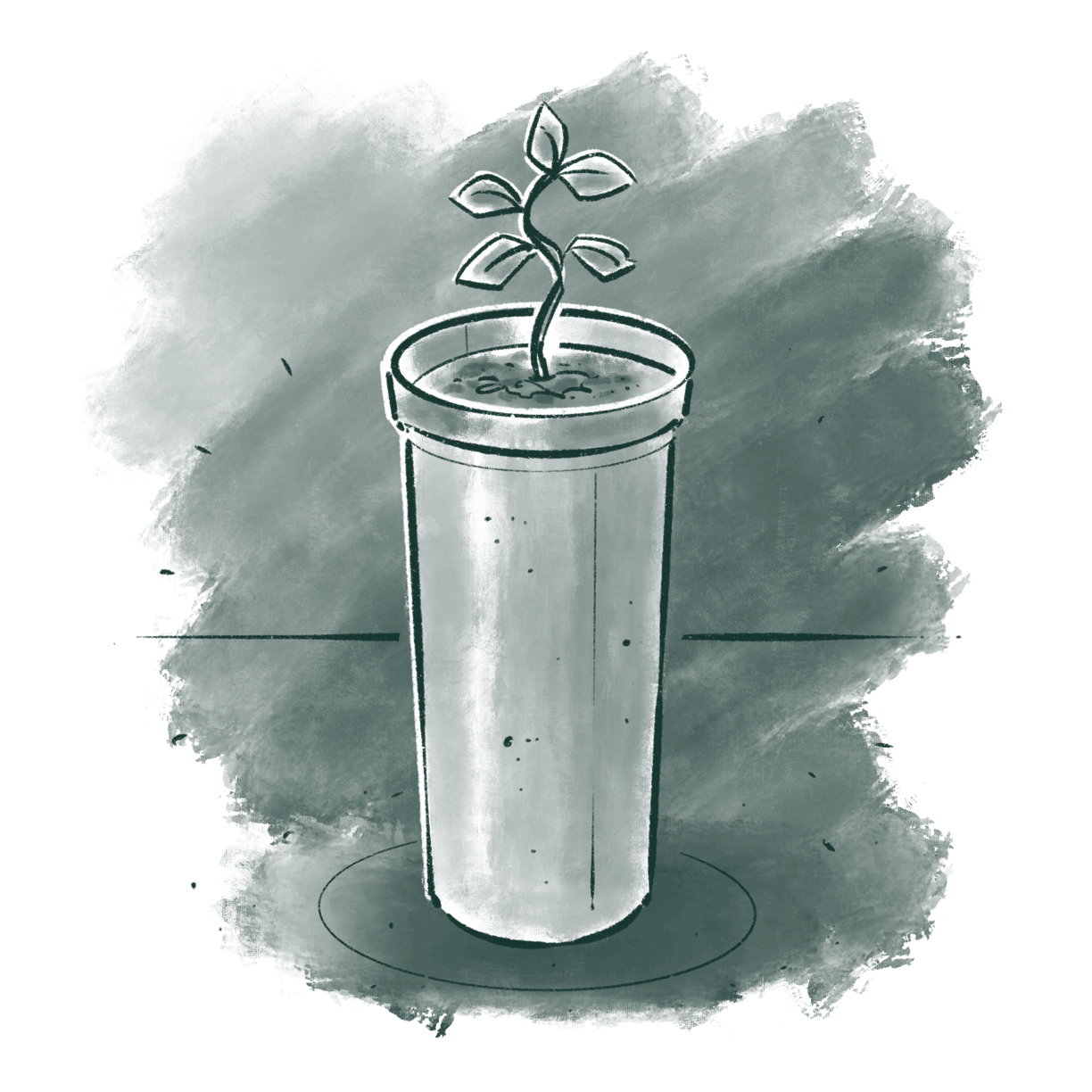 Microbes_as_Fertilizers_-_Fungus_increase_root_length_by_33_percent
