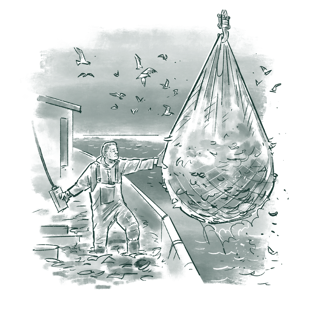 Overfishing_And_Habitat_Destruction_V2